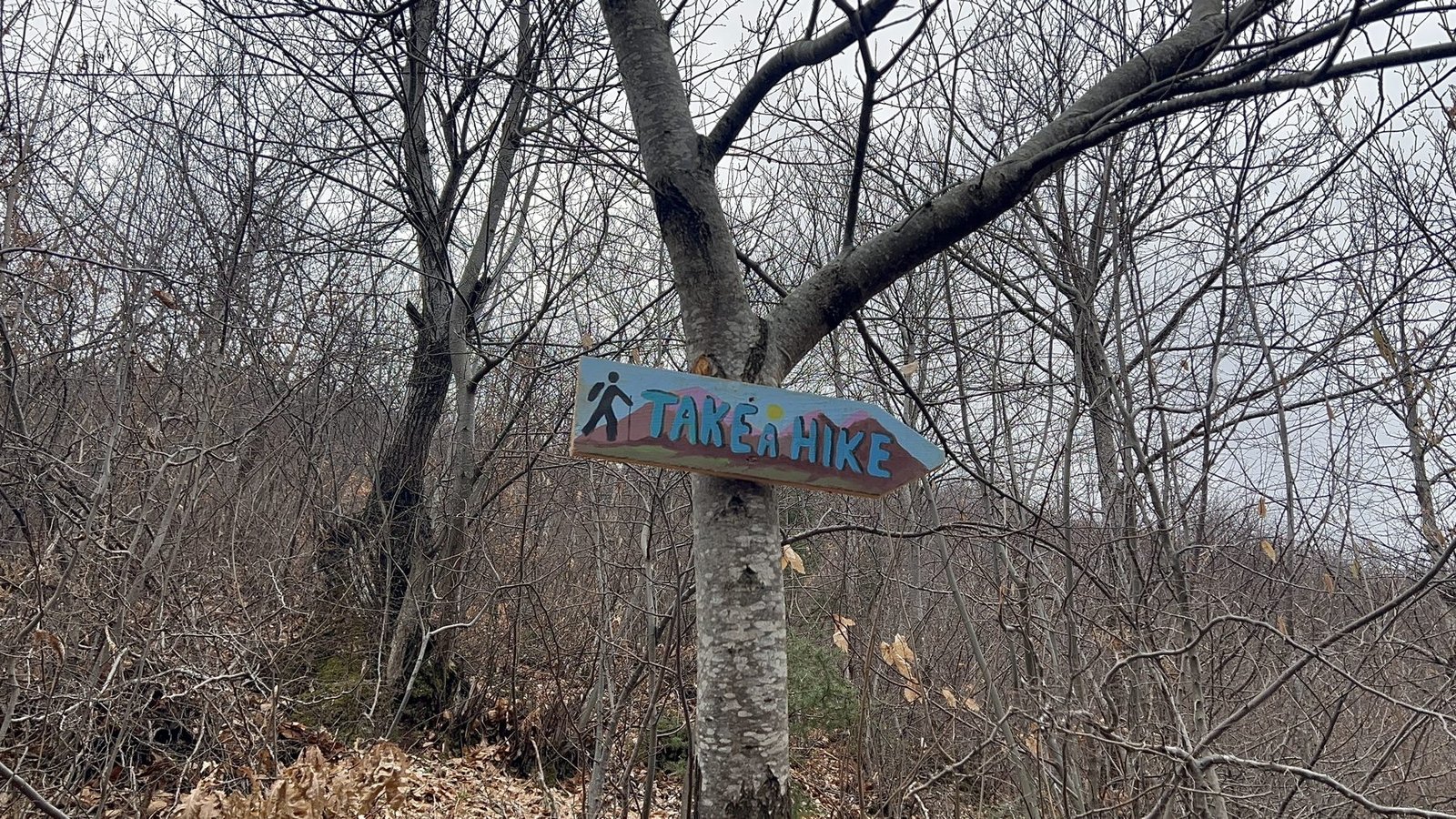 A Take a Hike trail sign on the open first leg of the Kabash Trail above Pogradec